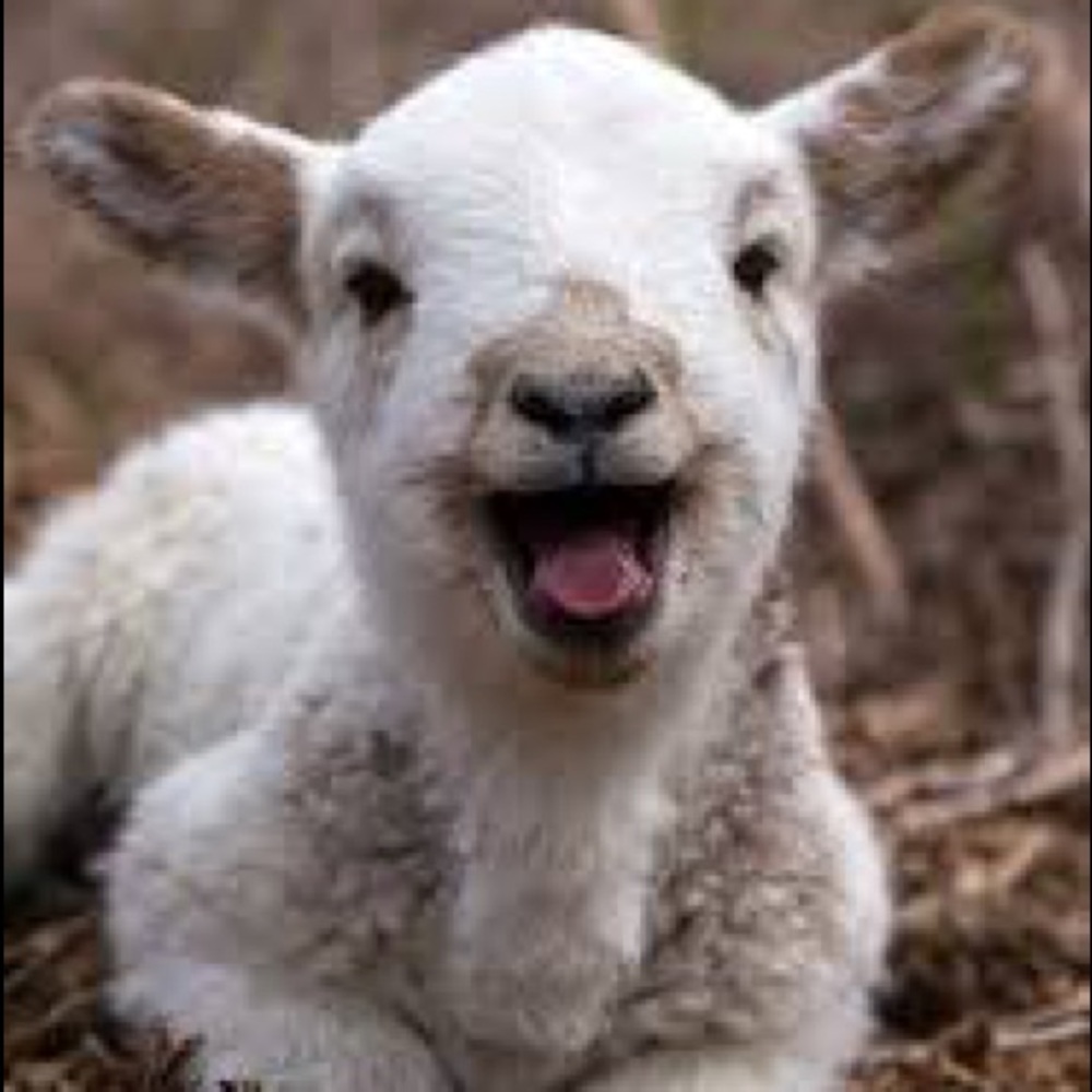 Meet your Posher, Simon
